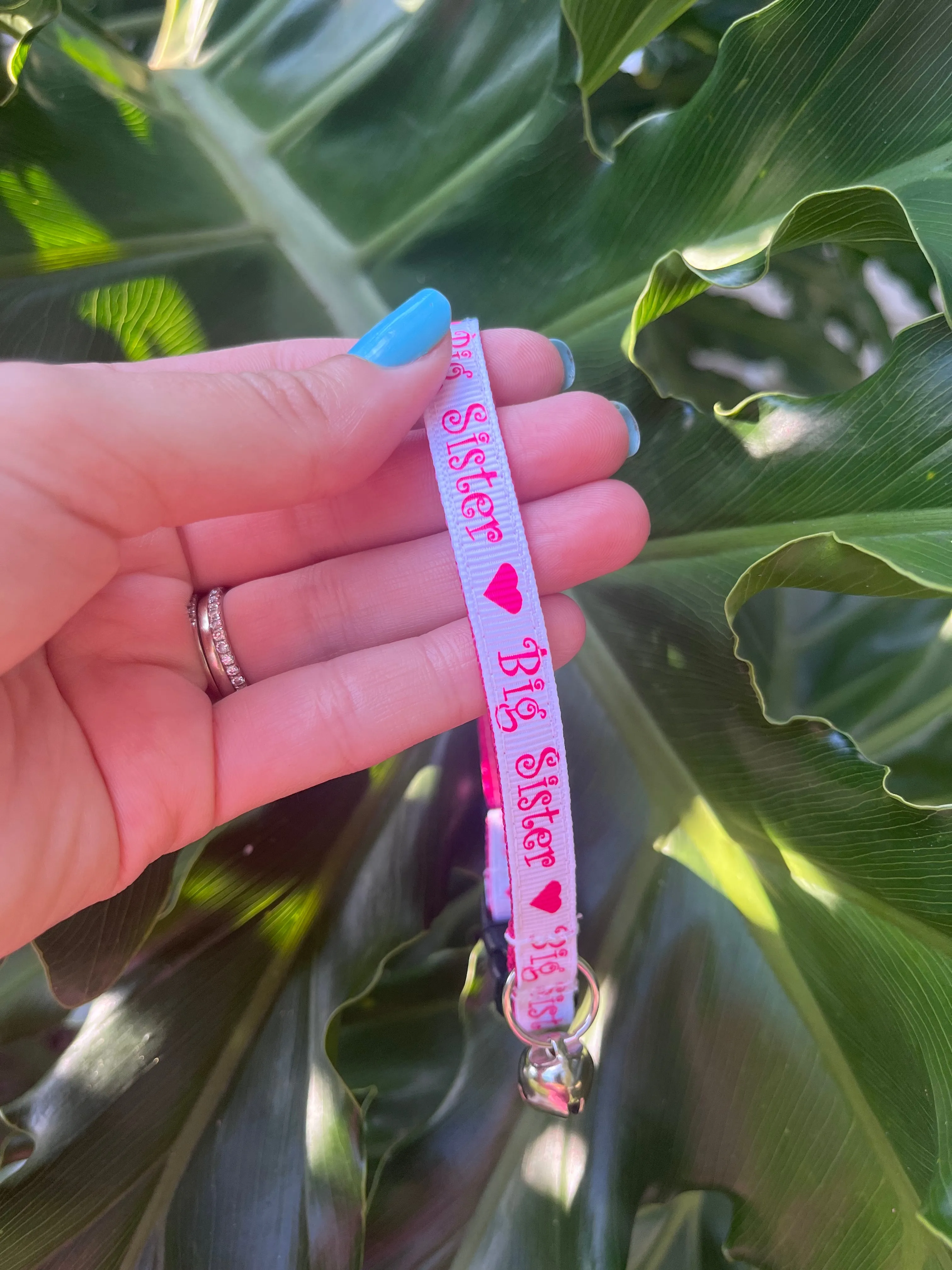 Big Sister Cat Collar