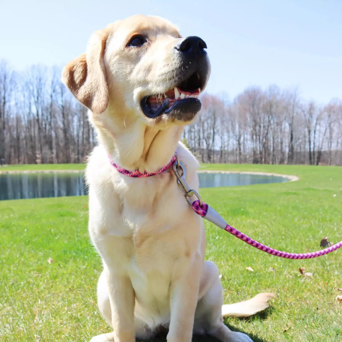Coastal Pro Active Adjustable Woven Reflective Dog Collar S/M Pixel Pink