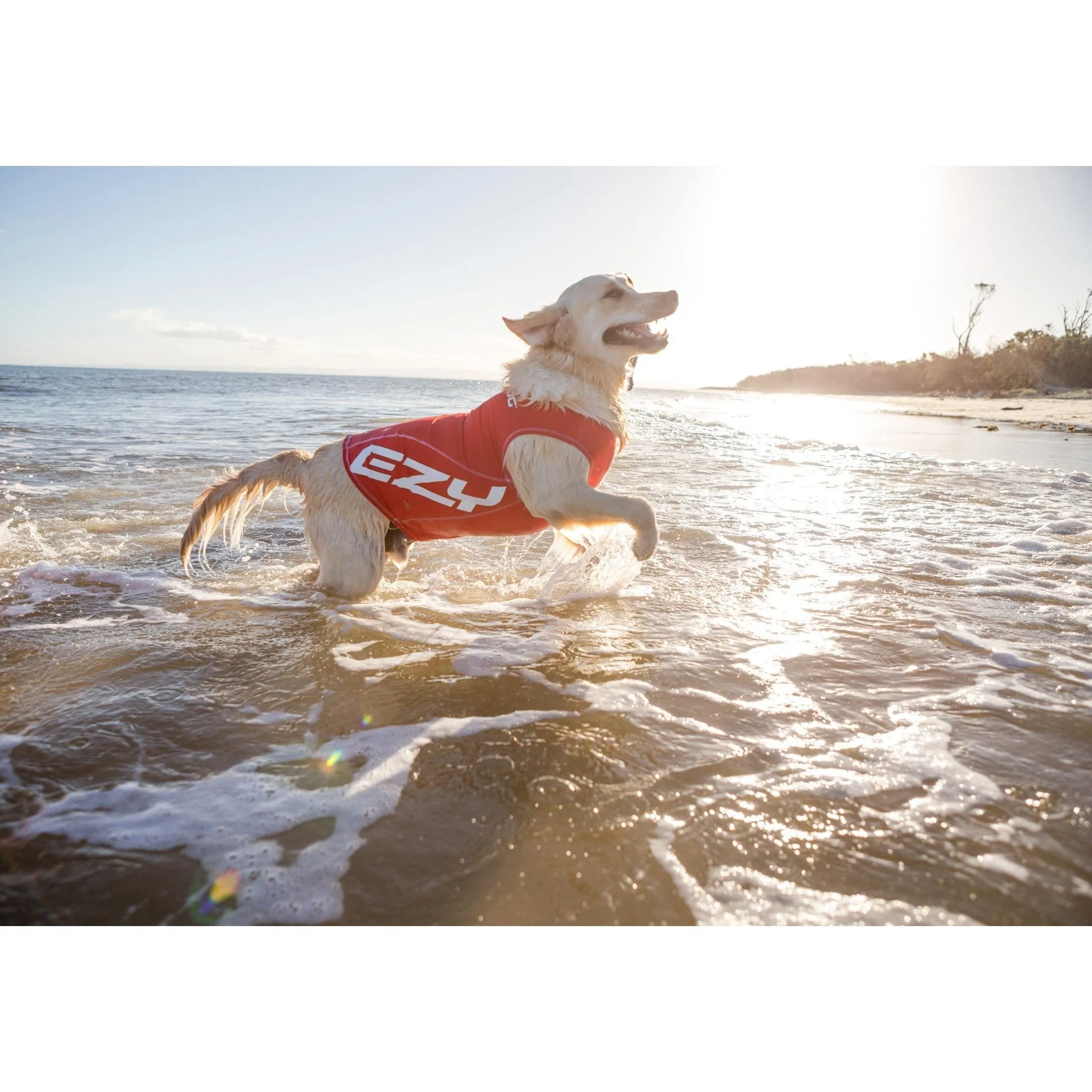 EzyDog Dog Rashie 50  UV Large^^^