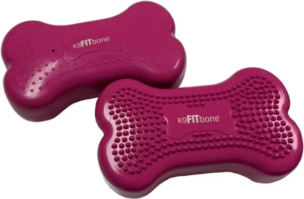 FitPAWS National Canine Fitness Month KIT