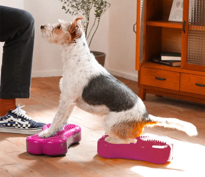 FitPAWS National Canine Fitness Month KIT
