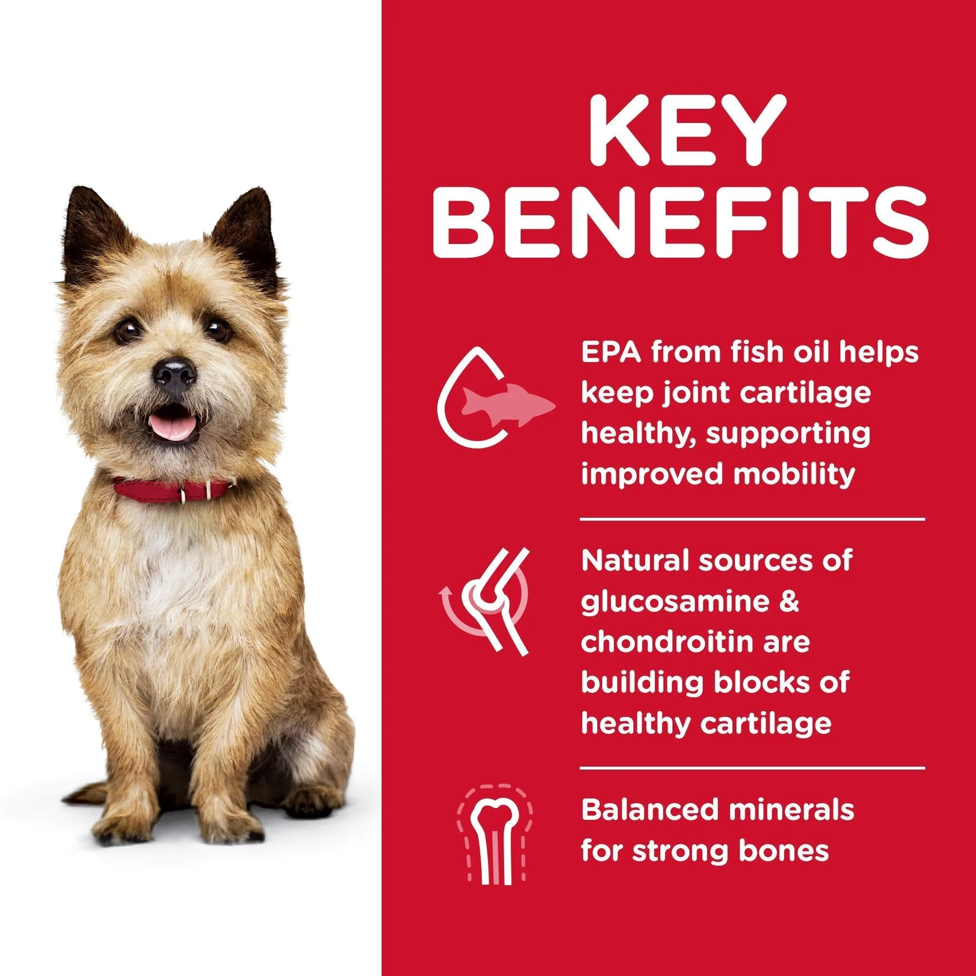 Hills Science Diet Healthy Mobility Small Bites Adult Dry Dog Food 7.03kg^^^