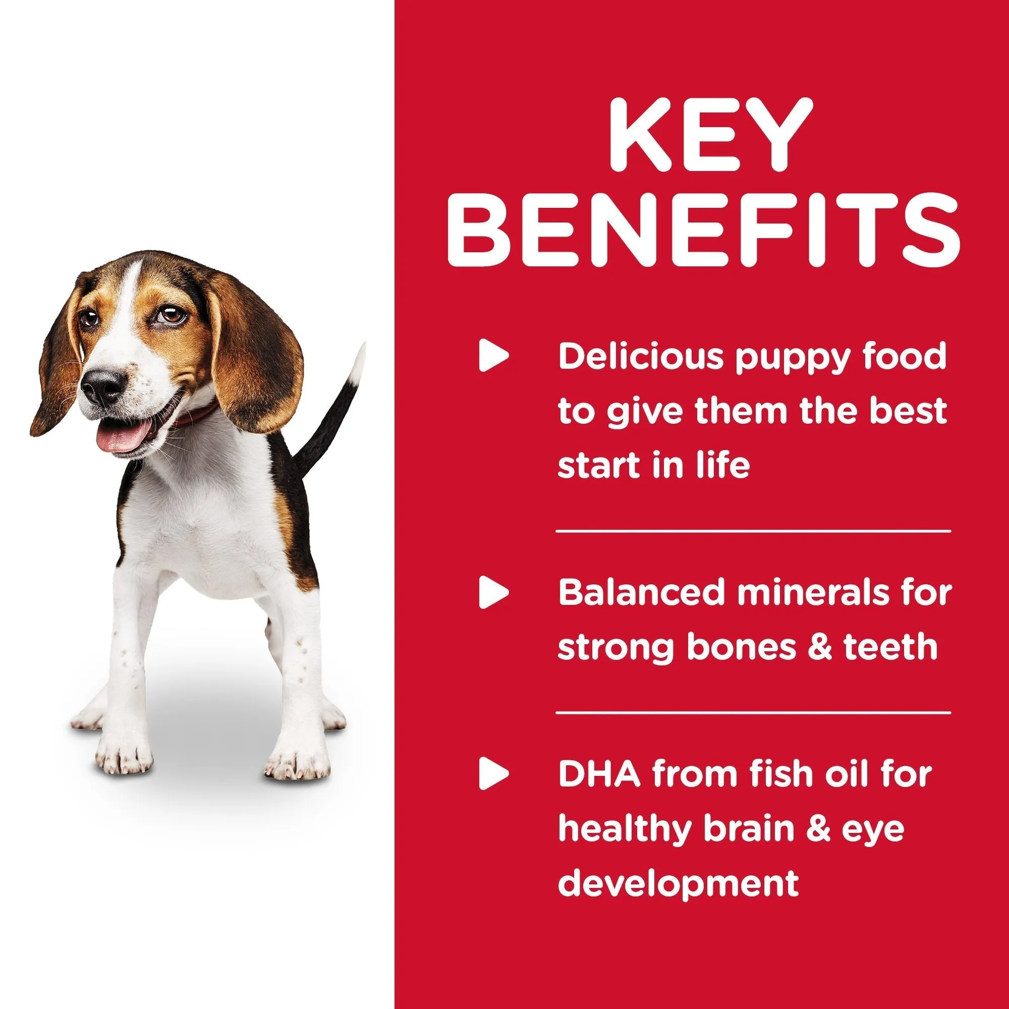 Hills Science Diet Puppy Chicken and Barley Entree Canned Dog Food 370g x 12^^^