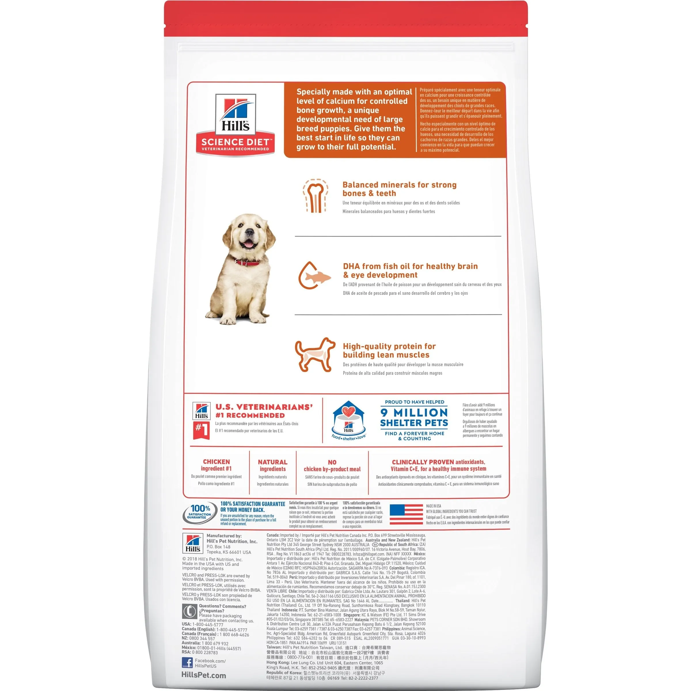 Hills Science Diet Puppy Large Breed Dry Dog Food 12kg^^^