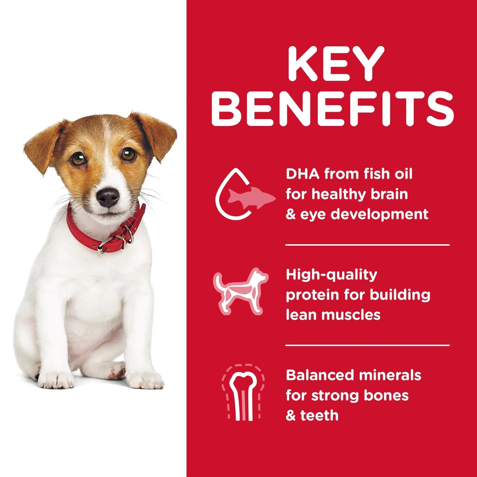 Hills Science Diet Puppy Small Bites Dry Dog Food 2kg^^^