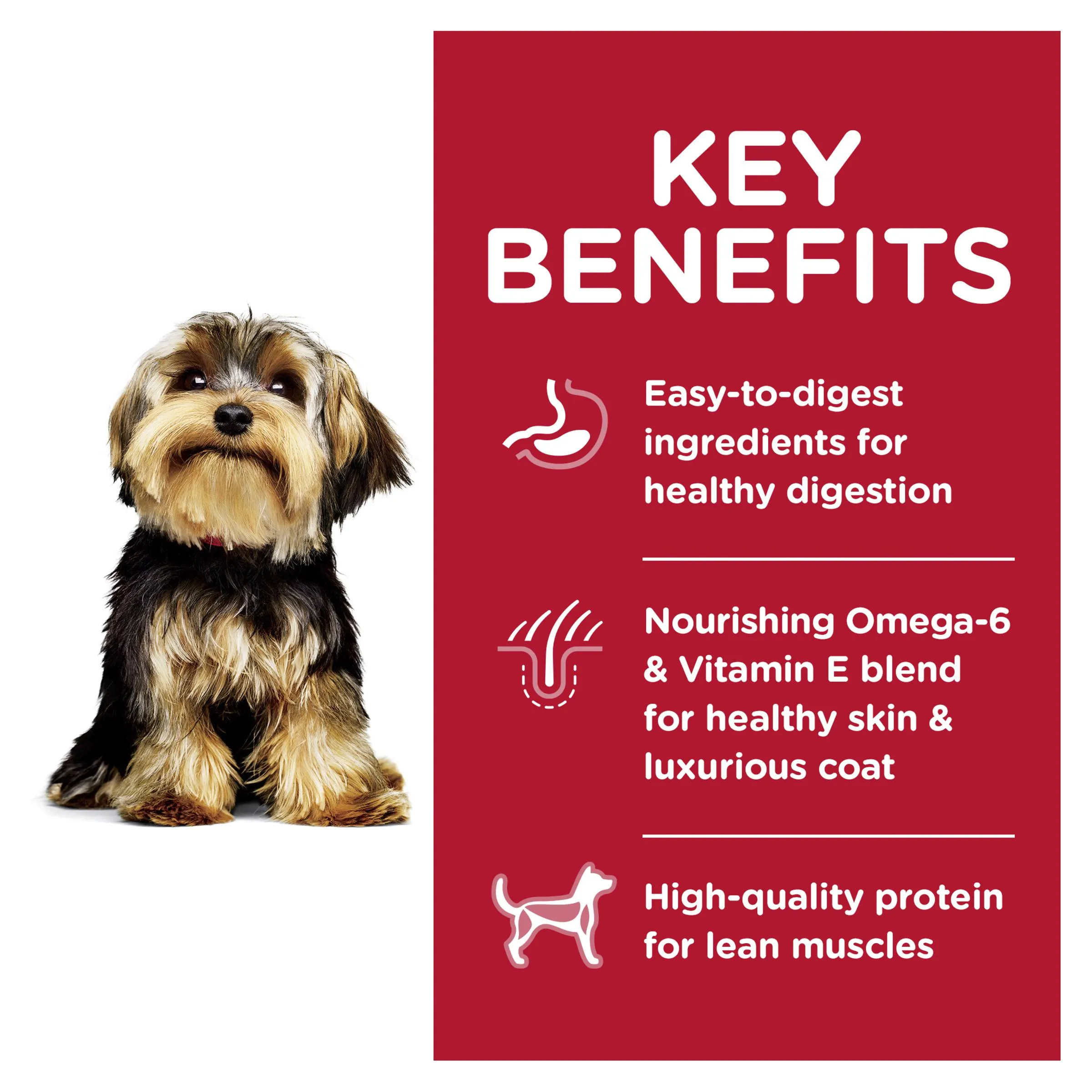 Hills Science Diet Small Paws Lamb and Rice Dry Dog Food 2.04kg^^^