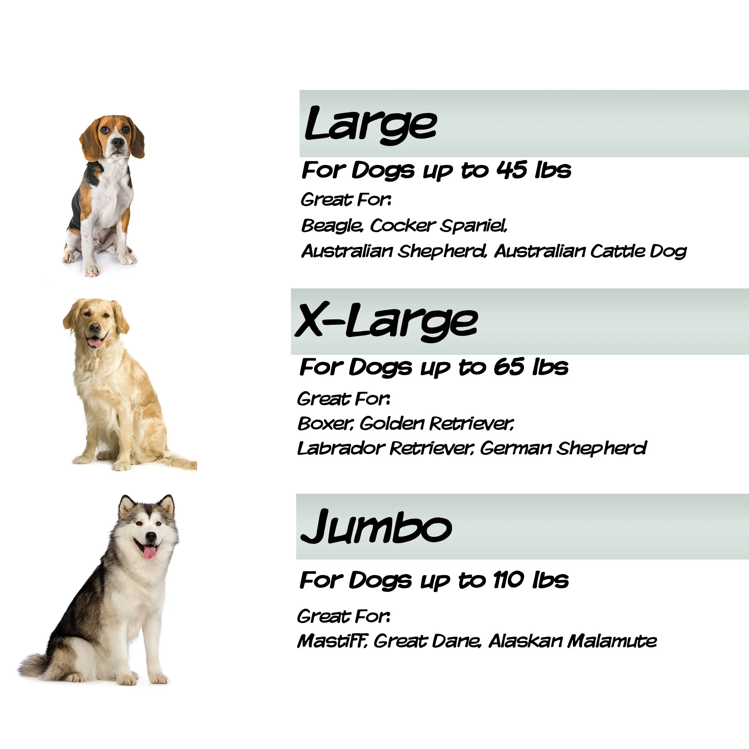Orthopedic Sofa Dog Bed
