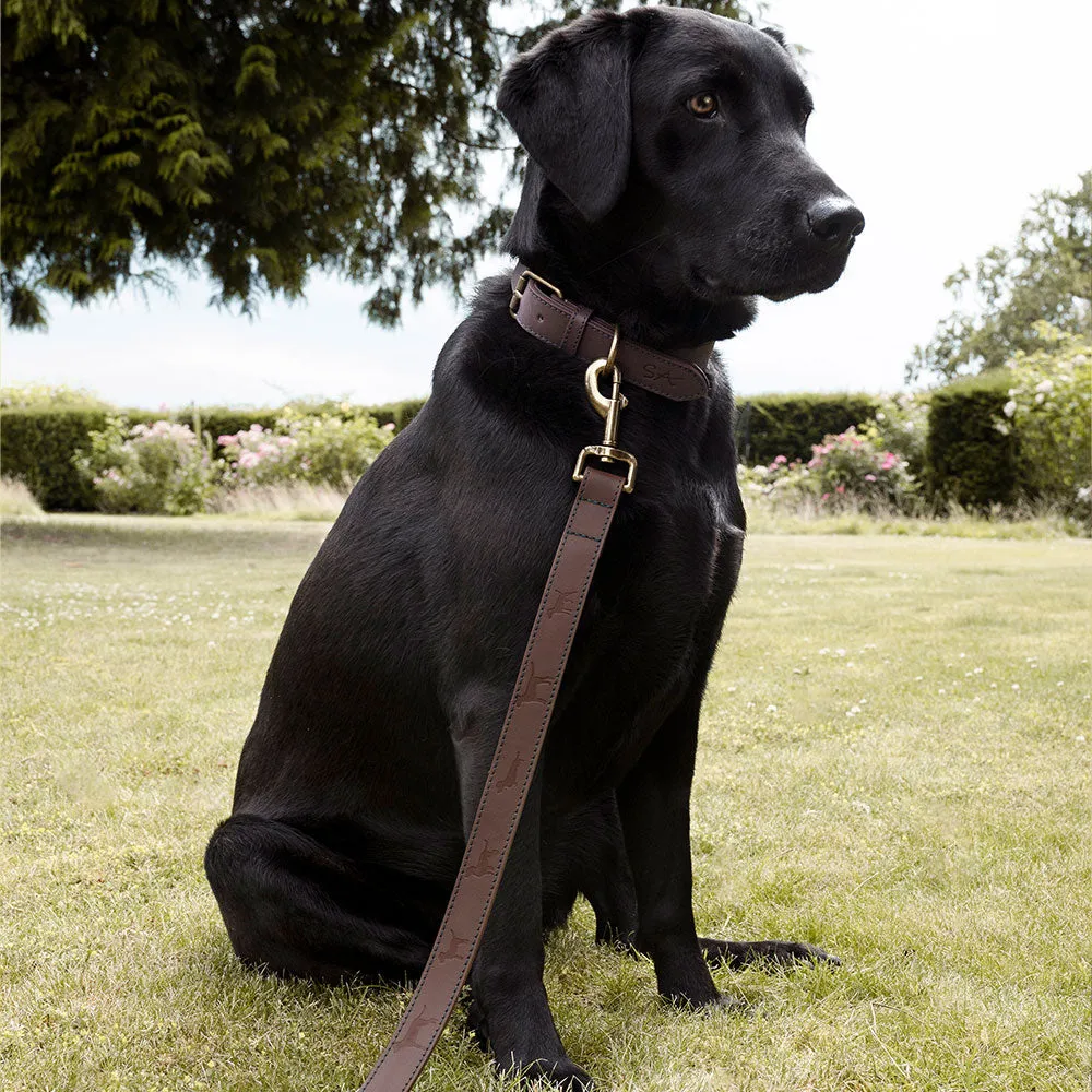 Sophie Allport leather dog collar