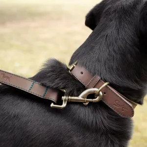 Sophie Allport leather dog collar