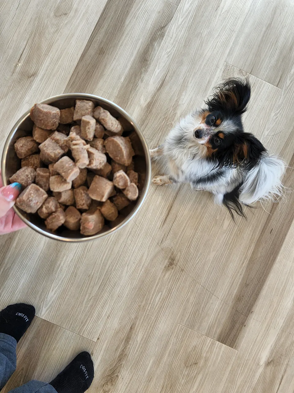 Steve's Real Food Freeze-Dried Raw Dog Food, Beef Recipe