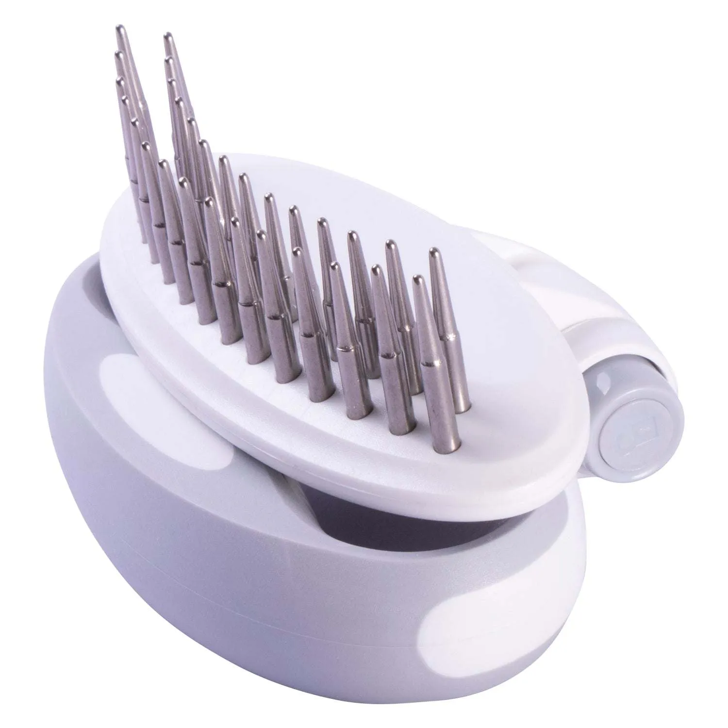 Travel Pet Rake