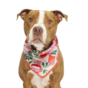 Valentine's Day Bandana