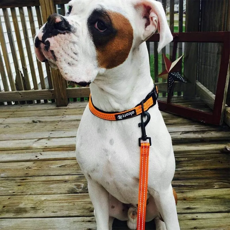 Visibility Reflective & Soft Neoprene Padded Dog Collars