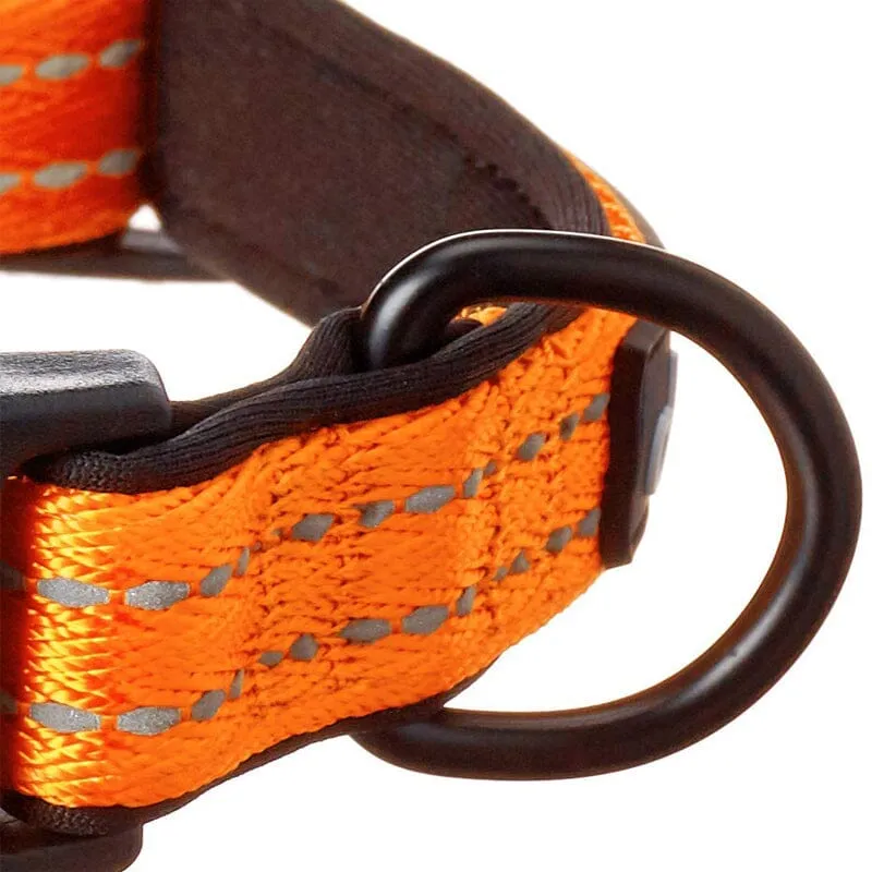 Visibility Reflective & Soft Neoprene Padded Dog Collars